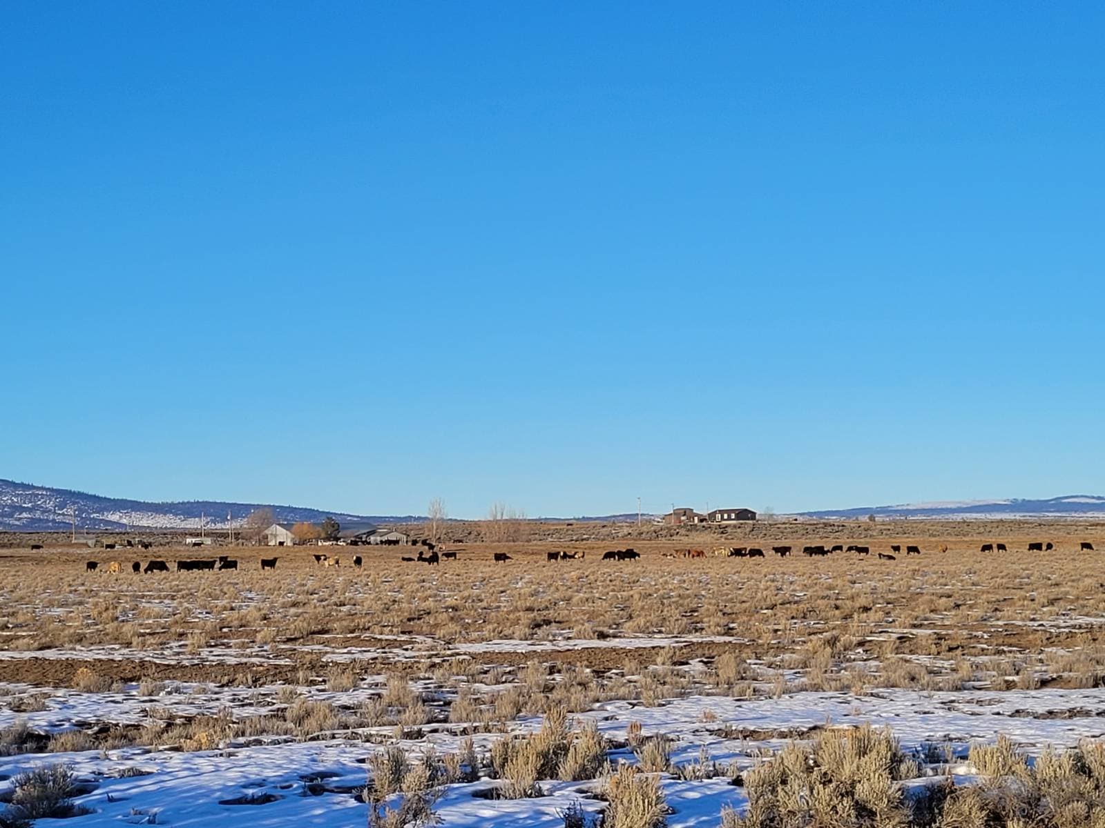 Manufactured home in Riley, OR 97758