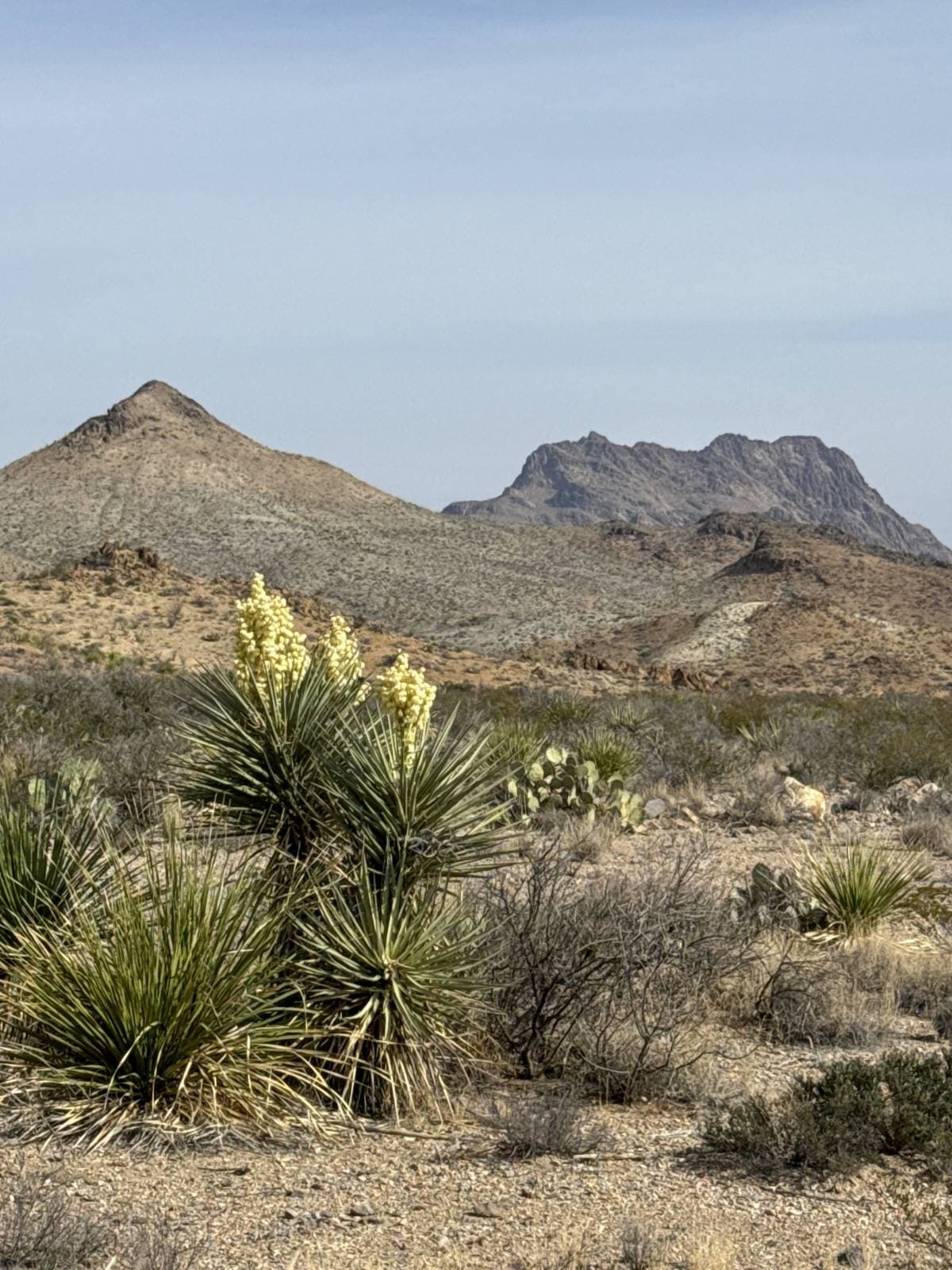 Manufactured home in Terlingua, TX 79852