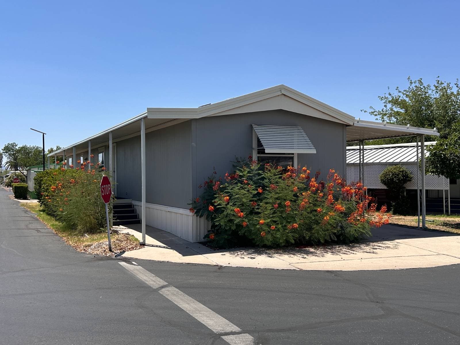 Corner Lot