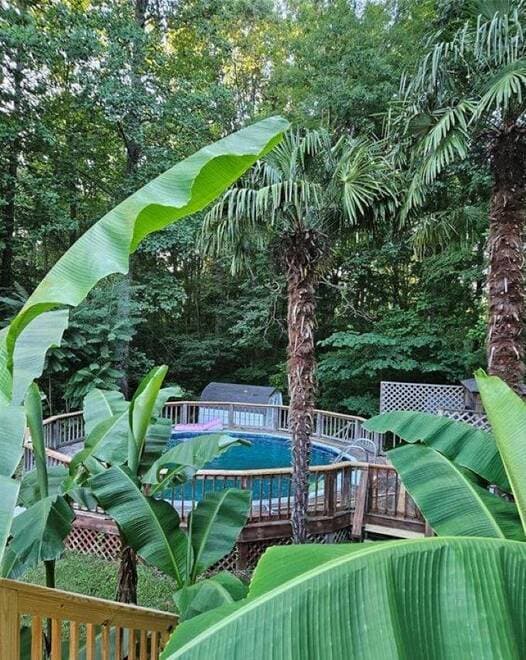 Large above ground pool w deck