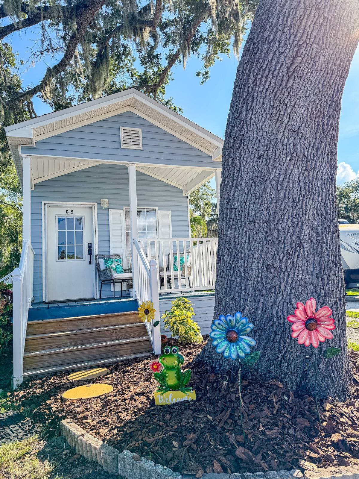 Front yard with tree